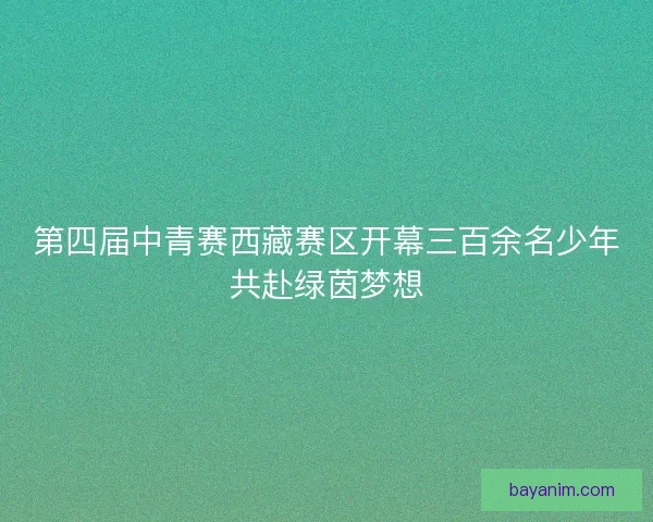 第四届中青赛西藏赛区开幕三百余名少年共赴绿茵梦想